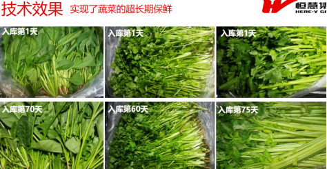 果蔬肉食储藏解决方案(图2)